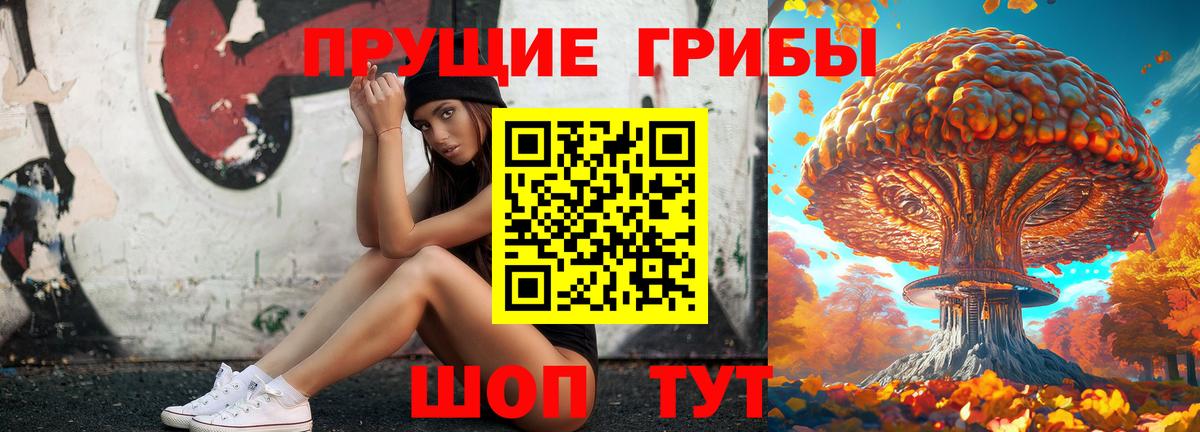 цены   Вход с VPN  Тара  Псилоцибиновые грибы Psilocybine cubensis  Галлюциногенные грибы мицелий 
